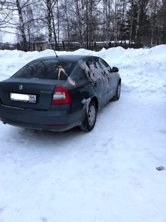 В Костроме неизвестные вандалы испортили автомобиль преподавательницы КГСХА