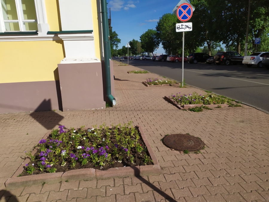 Поросшие травой «порталы» у областной администрации украсили цветами-однолетниками
