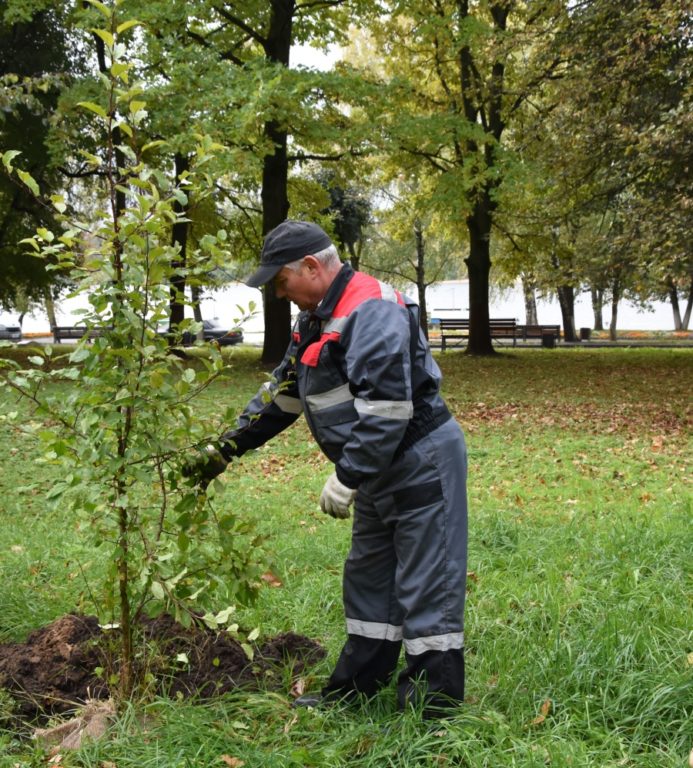 В Костроме общественники помогают коммунальщикам вовремя закончить озеленение