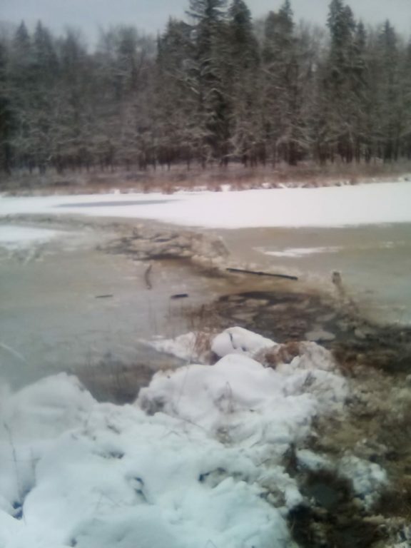 Сезон отрыт: в Костромской области рыбак провалился под лед
