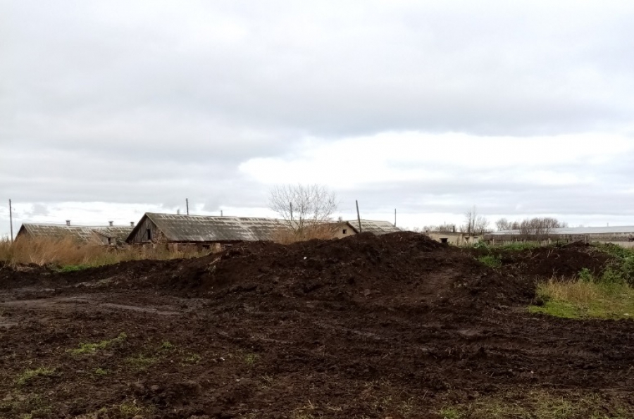 Костромской фермер начал очищать деревню от навоза