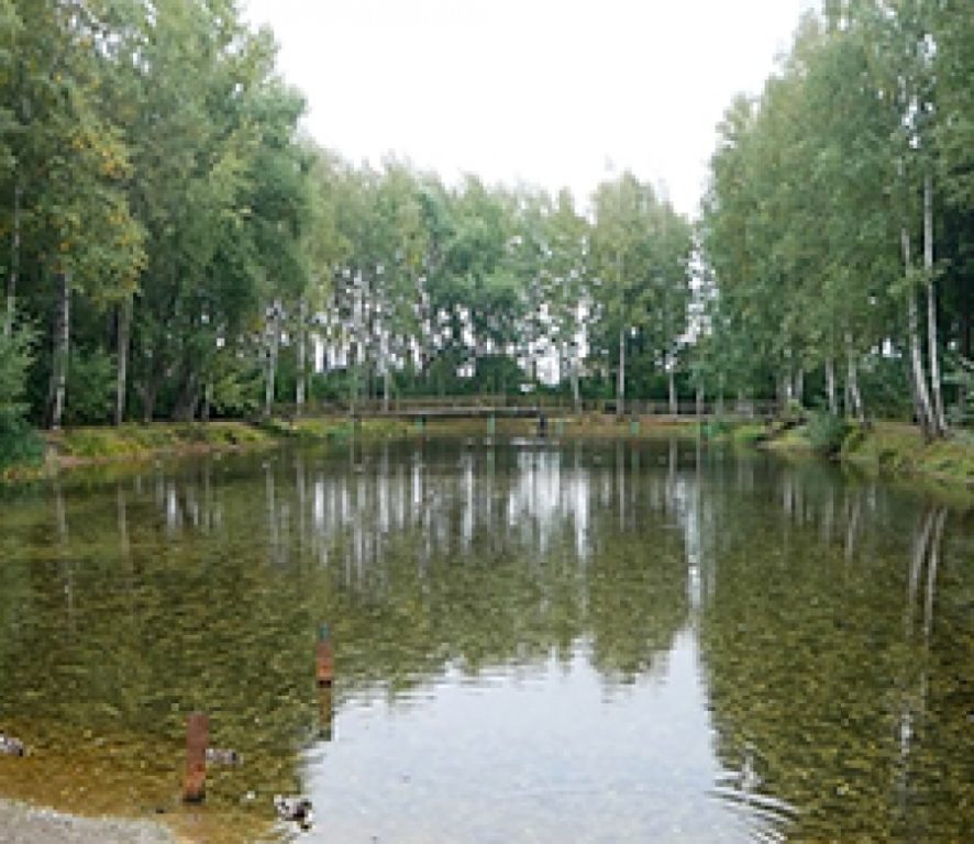 Старинный пруд в парке санатория «Костромской» может исчезнуть
