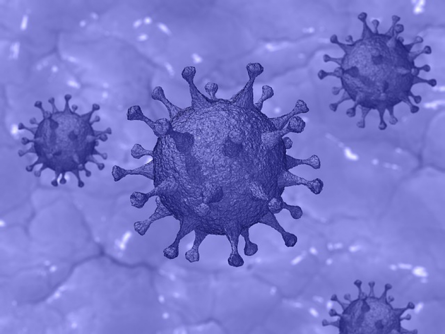 Более 30 костромичей с коронавирусом находятся на грани жизни и смерти