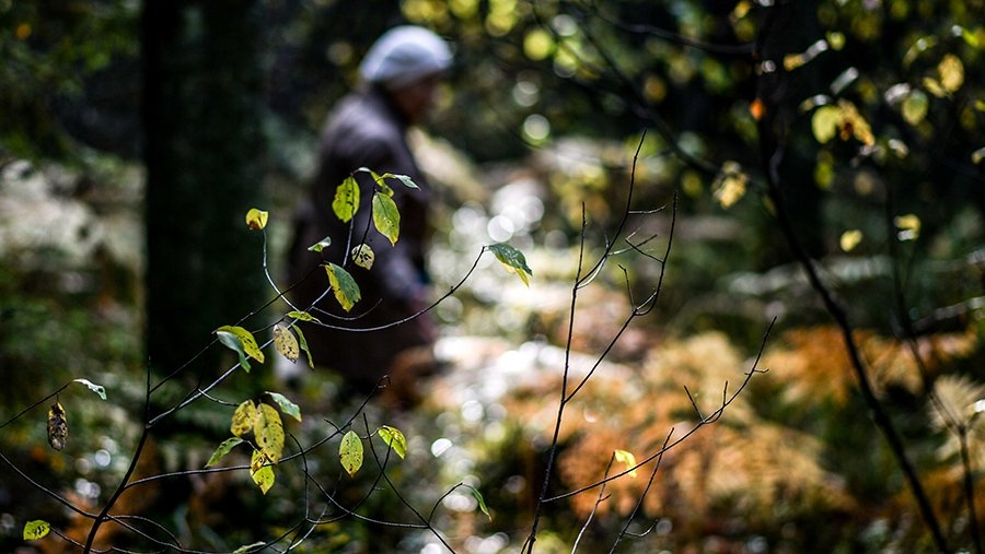 Мужчина, страдающий рядом хронических заболеваний, трое суток блуждал по костромским лесам