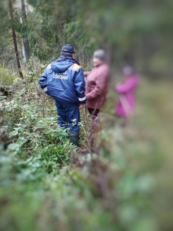 В костромском лесу заблудились пожилая женщина и ребёнок