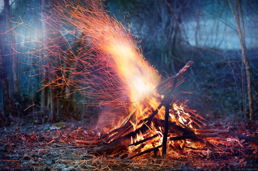 В Костромской области ужесточили наказание за разведение огня в лесу