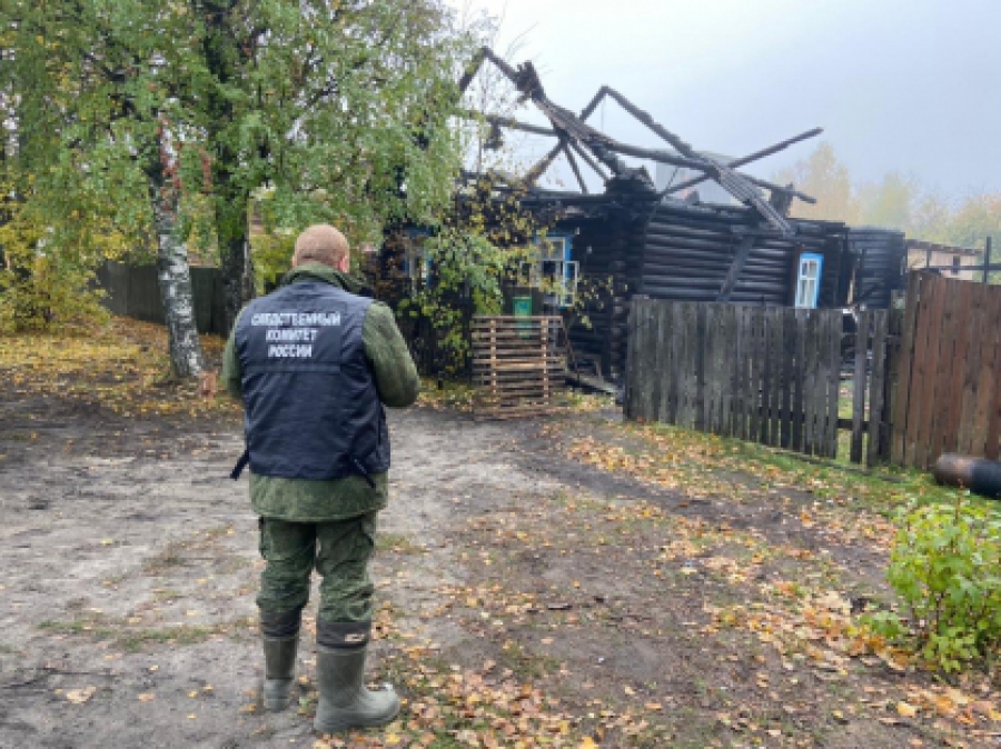 В Костромской области при пожаре погибли два человека