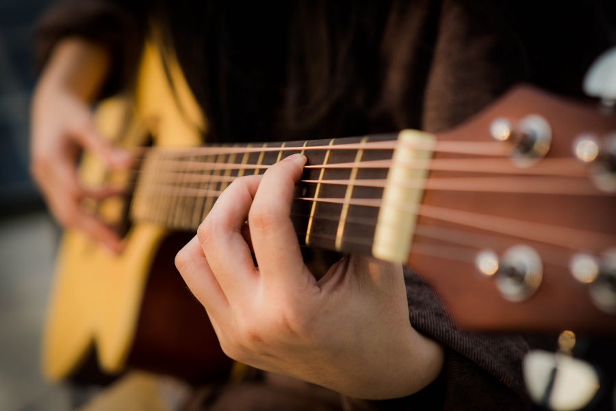 Похищенную гитару костромские полицейские нашли по звуку