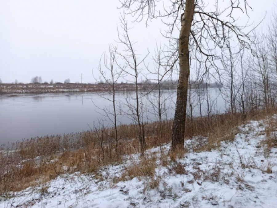 В реке Костроме утонул 58-летний мужчина