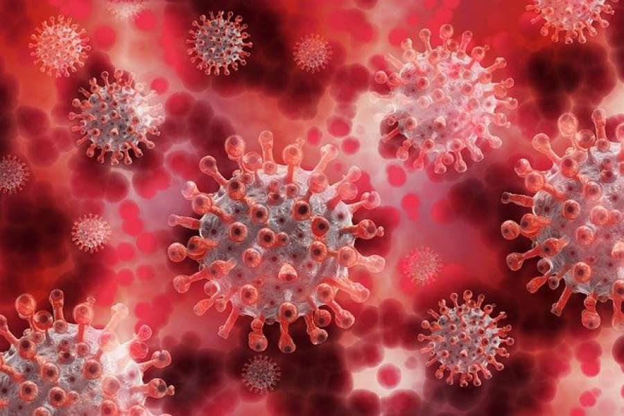 У шести костромичей коронавирус обнаружили только после смерти