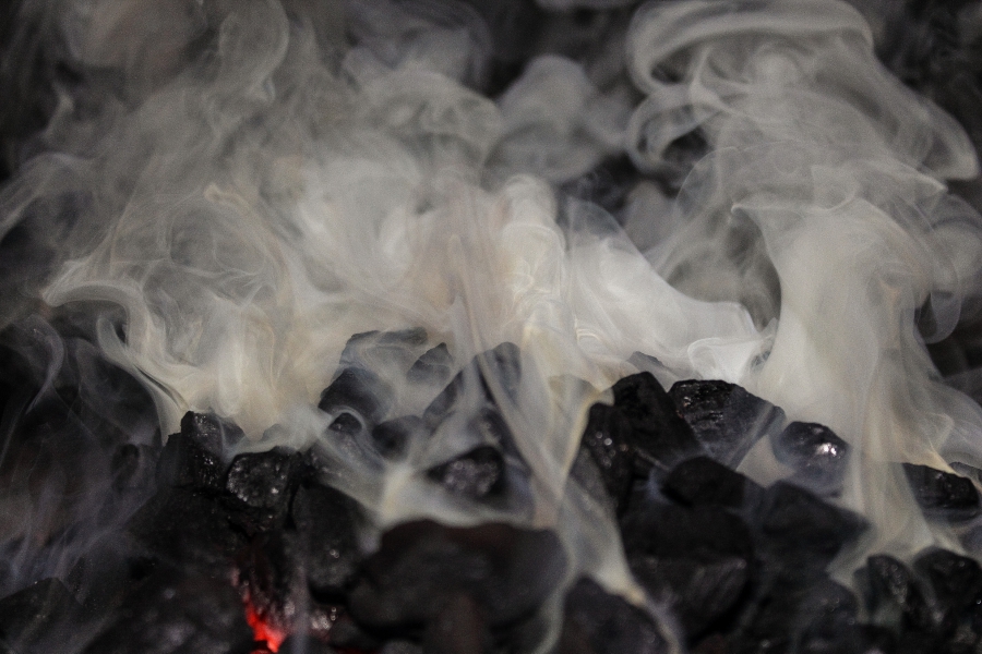 Костромичей травили дымом от обугленных берез