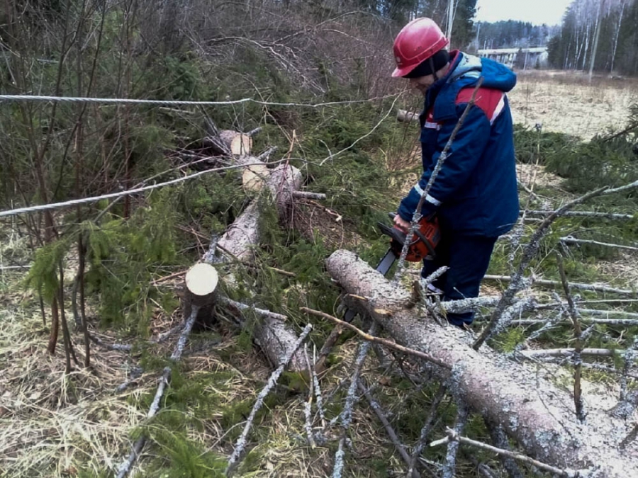 Районам Костромской области нужно еще 4 миллиона рублей на восстановление после урагана