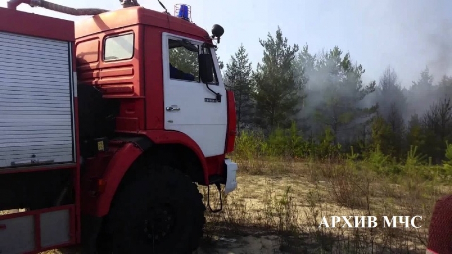В Макарьевском районе Костромской области загорелся лес на площади в два гектара