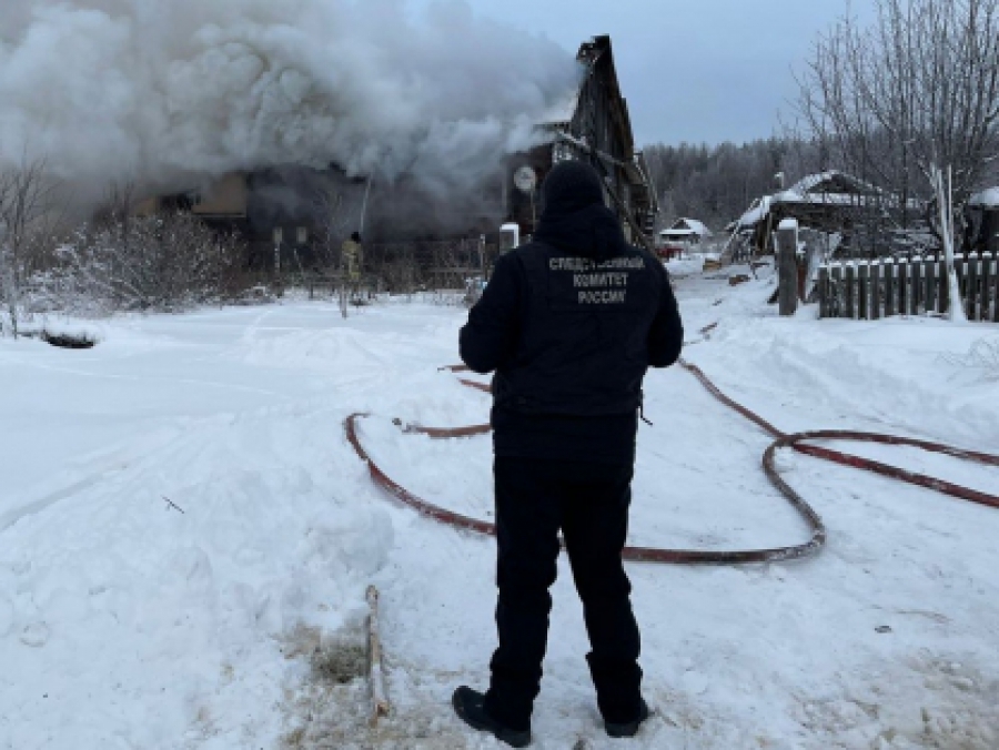 В Костромской области женщина не успела выбраться из горящего дома