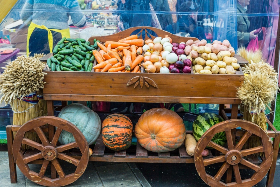 Костромичи могут купить экологически чистые овощи на сельскохозяйственных ярмарках города