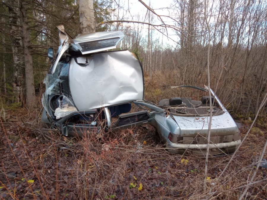 В Костромской области автомобиль «намотало» на дерево