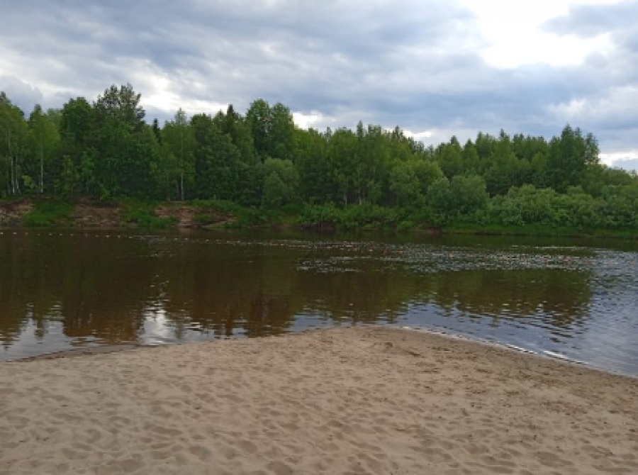 В Костромской области нашли тело утонувшего подростка