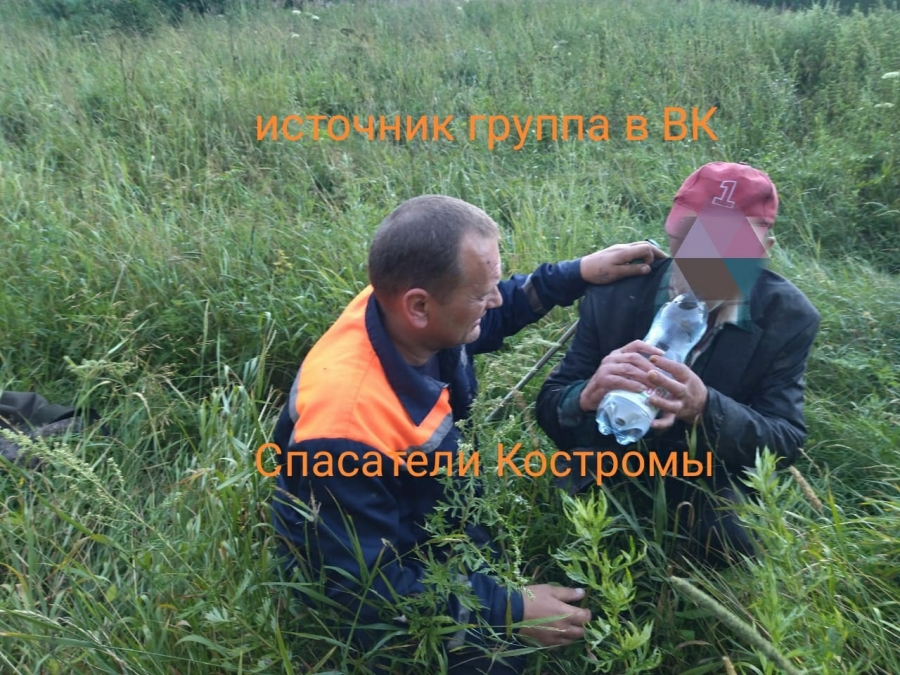 В Костромской области нашли обессиленного 80-летнего грибника (ФОТО)