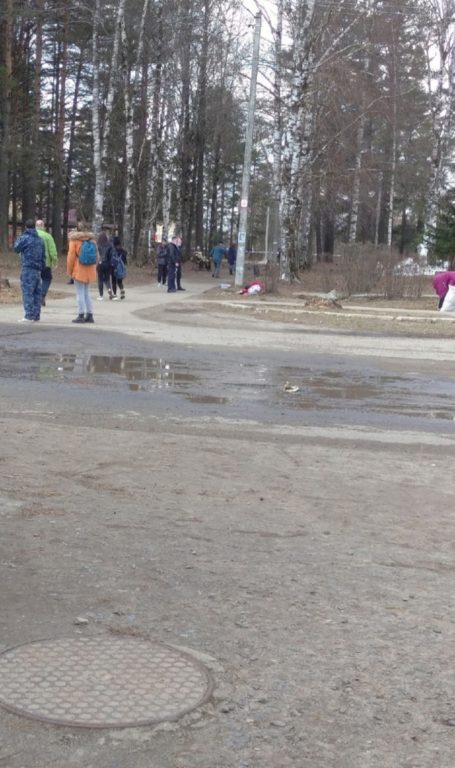 В шарьинском парке на глазах десятков людей зарезали молодого мужчину (ВИДЕО)