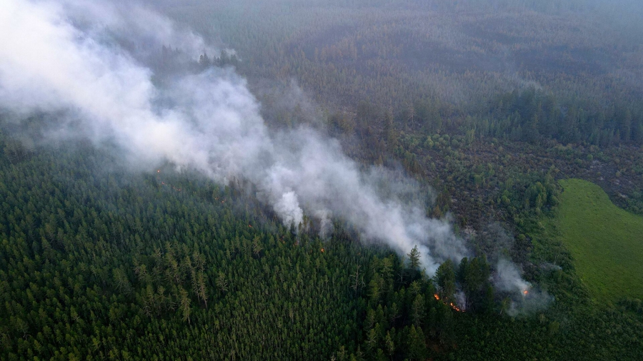 Костромская область получила 2 миллиона рублей на авиапатрулирование лесов