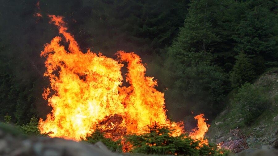 В ближайшие три дня в Костромской области ожидается высокая пожароопасность