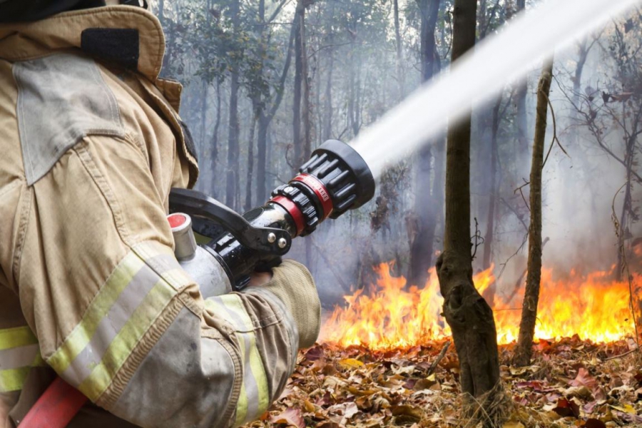 В Костромской области констатировали высокий уровень пожарной опасности