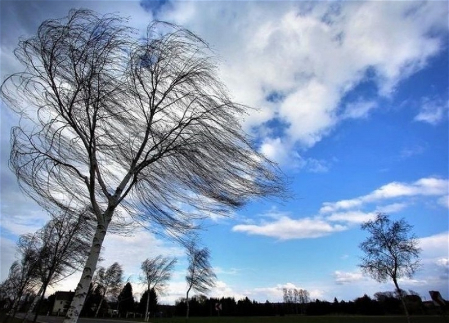 Скорость ветра в Костромской области вновь достигнет опасных значений