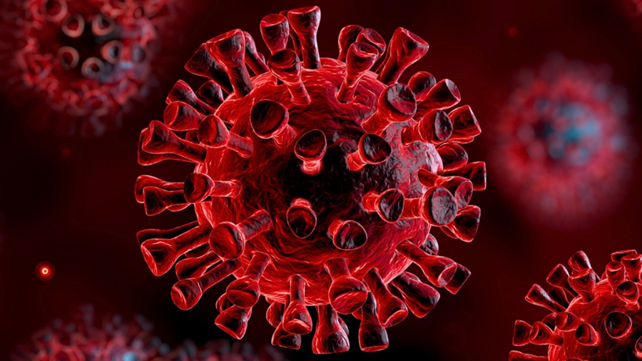 Стабильный 1%: в регионе за сутки выявлено 13 случаев заболевания коронавирусом