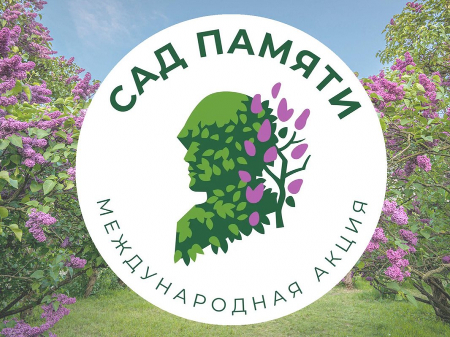 В Костроме в честь Юбилея Победы сажают деревья