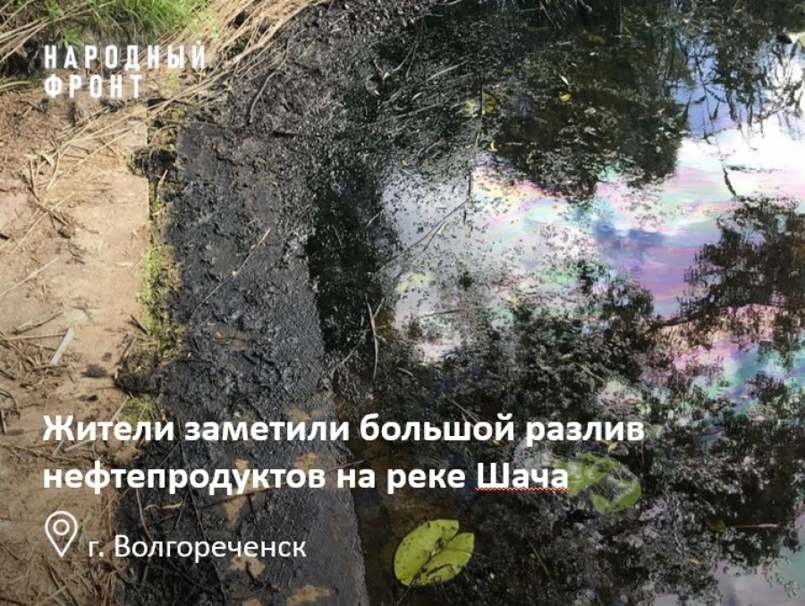 Общественники просят Росприроднадзор разобраться в загрязнении костромской реки