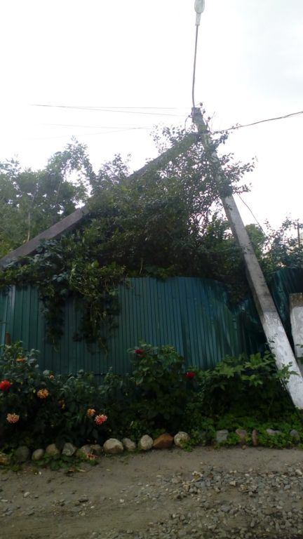 На территории областного психиатрического диспансера дерево повалило столб электропередач
