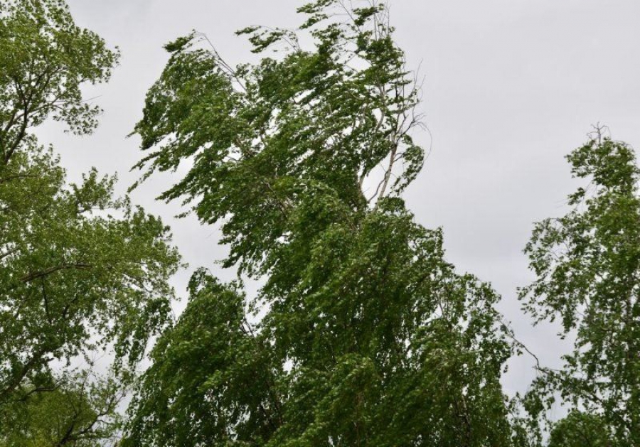В Костромской области ожидается сильный ветер и гроза