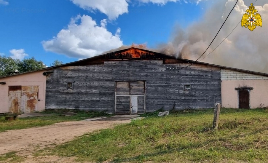 Горели дома, машины и сухая трава: в Костромской области за неделю произошло 38 пожаров