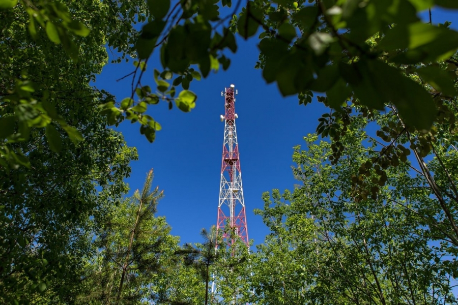 В костромском зоопарке и в «Берендеевке» начал работать 4G-интернет от МегаФон