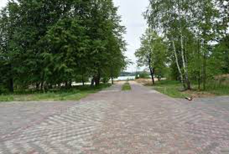 Власти Костромы опровергли слухи о вырубке деревьев в Заволжье