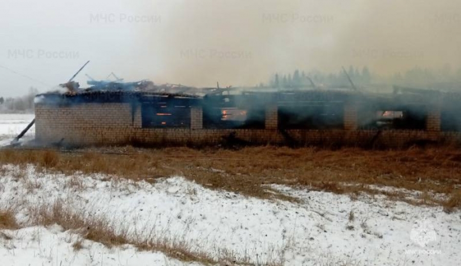 В Костромской области во время страшного пожара погибли десятки животных