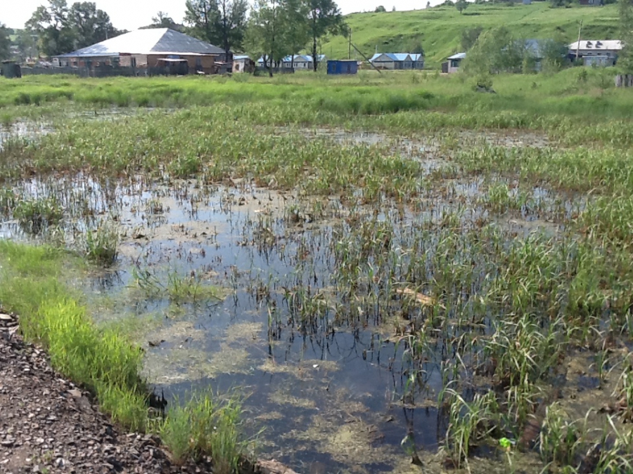 В Костроме владельцам участков на болоте поменяют их на новые