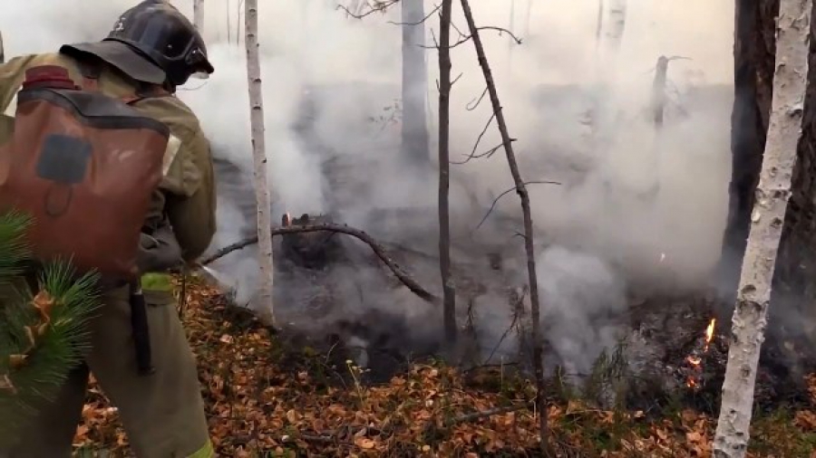 В Костромской области уже неделю не могут потушить лесной пожар