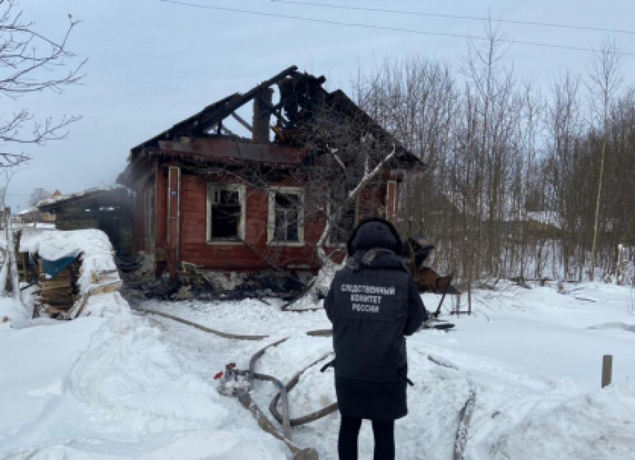 Пожилой шарьинец заживо сгорел в собственном доме