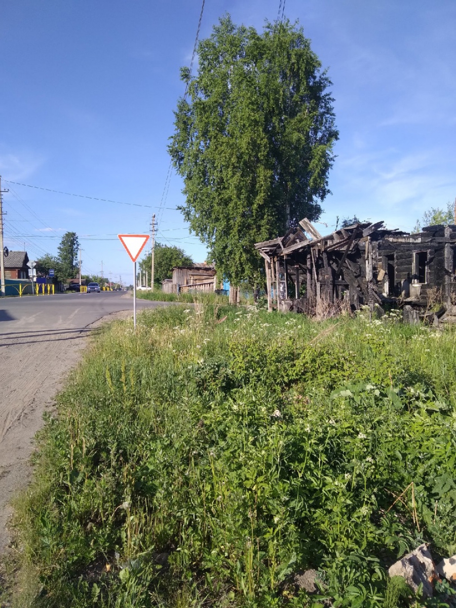 В сгоревшем доме в Костромской области поселились смертельно опасные соседи  - Logos44