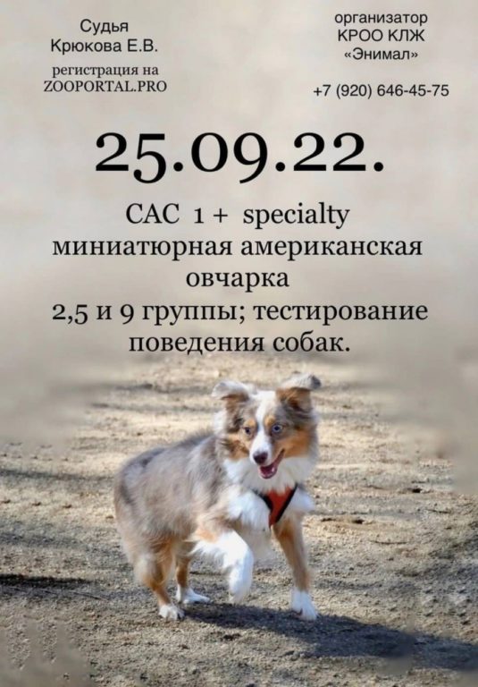 Костромские студенты-кинологи соберут «хэндлеров» на выставке собак