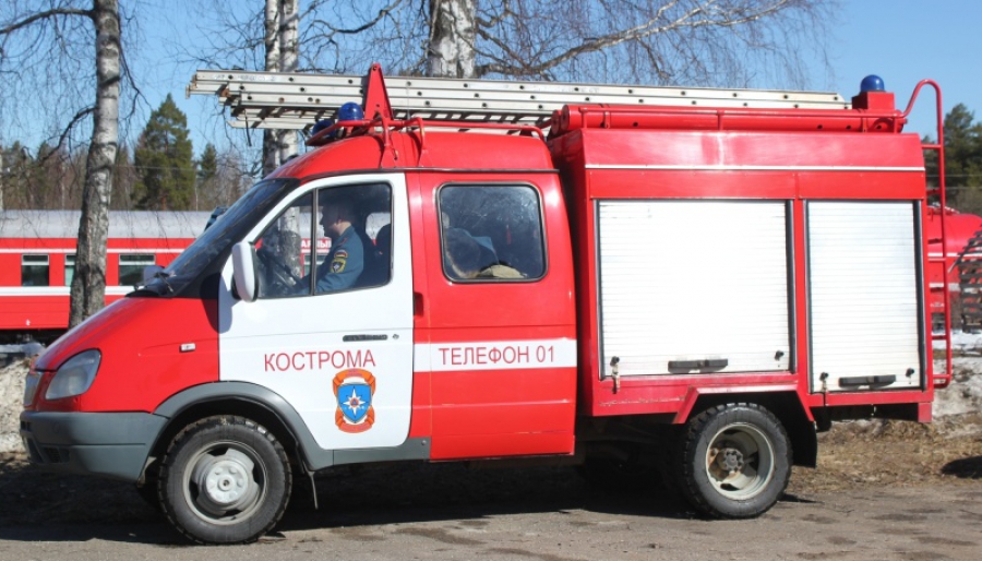 Жители Костромской области снова начали жечь сухую траву