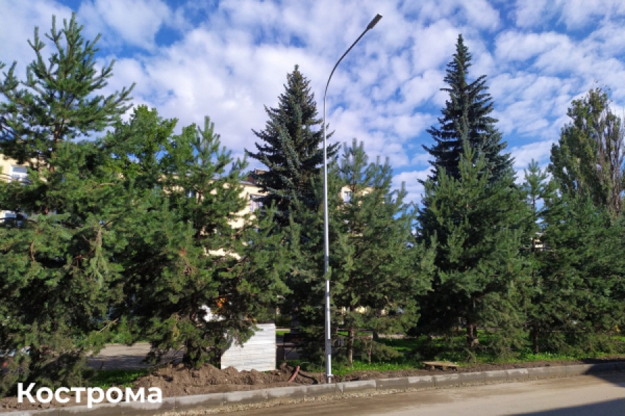 В центре Костромы появилось 50 современных фонарей