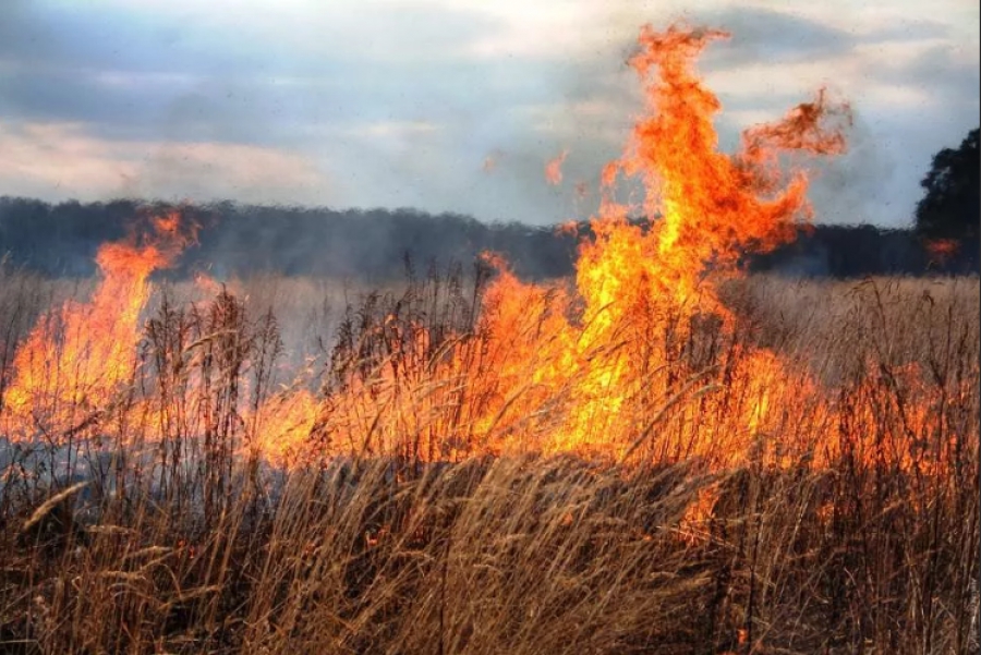 В Костромской области за стуки потушено 16 стихийных пожаров