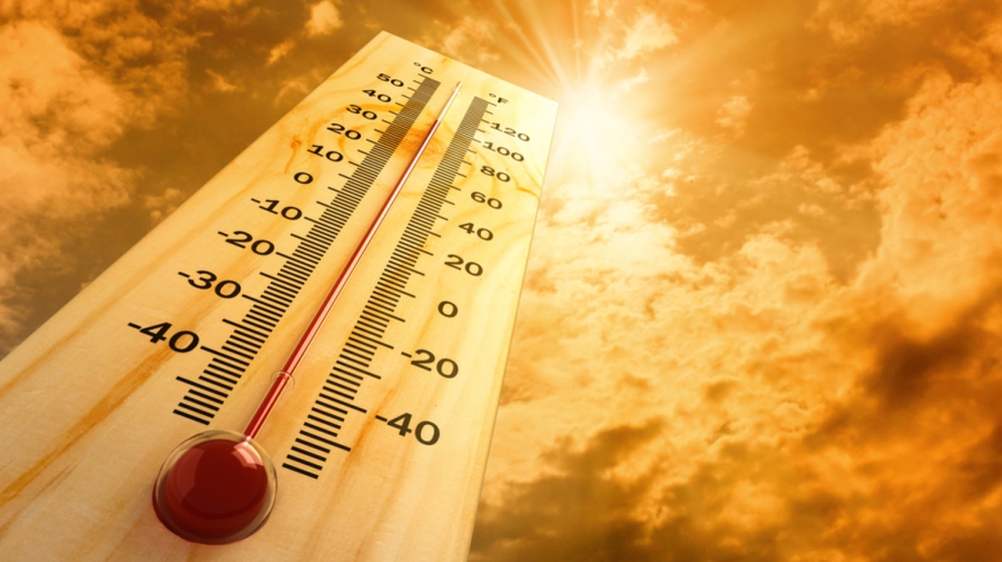 Прогноз погоды на неделю: в Кострому пришла невероятная жара