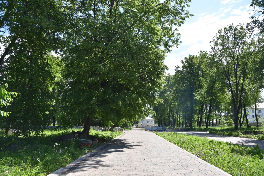 В Центральном парке Костромы высадят российские цветы вместо голландских