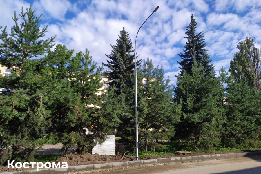 Костромичам не понравились новые фонари в центре города