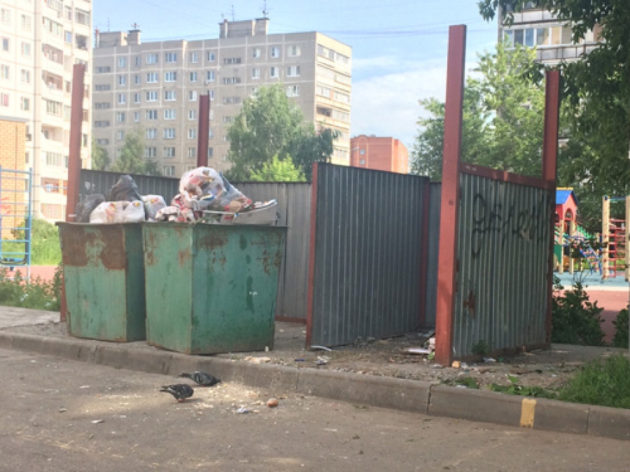 Костромичи оставили более 40 жалоб на вывоз мусора и состояние контейнерных площадок