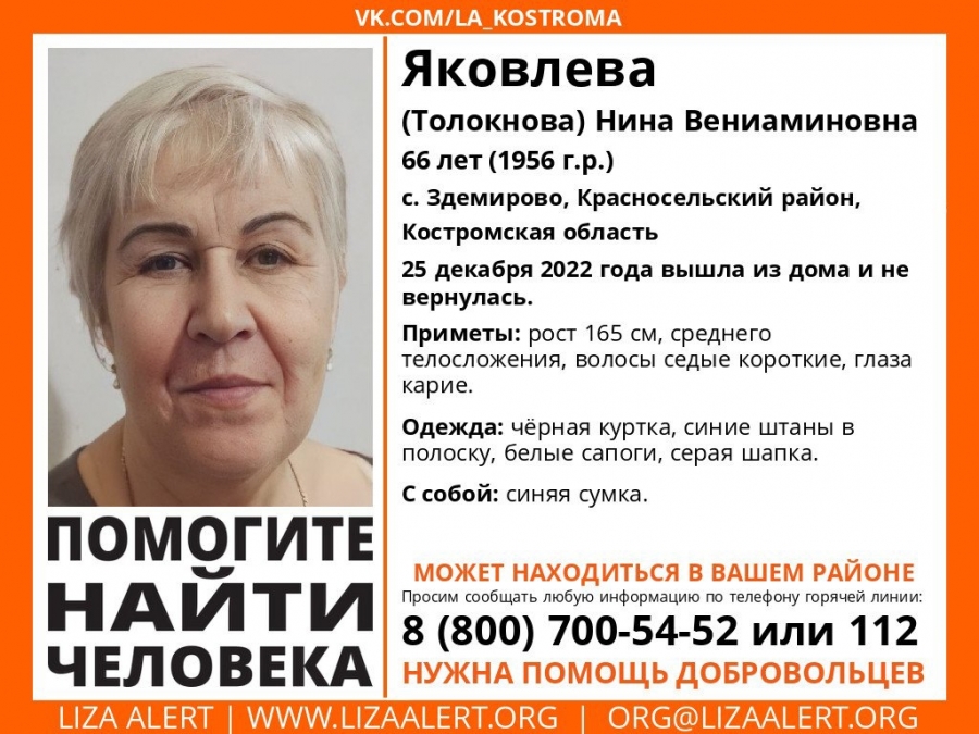 Под Костромой ищут 66-летнюю женщину