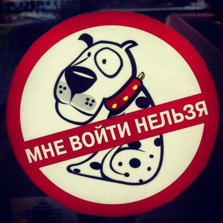Кострома вошла в число самых недружелюбных к собакам городов Золотого кольца